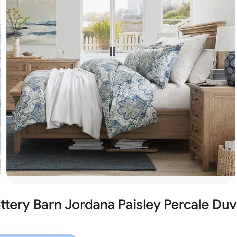 Pottery Barn Paisley Duvet Cover - Blue and White